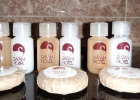 Swan Hotel 5