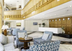 Safir Dahab Resort 5