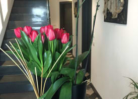 Residenza RoMa 4