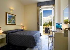 Hotel Alexander Palme 2