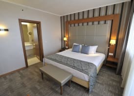 Holiday Inn SKOPJE by IHG 3