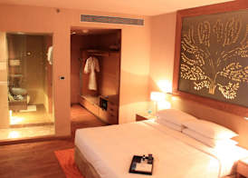Radisson Blu Hotel New Delhi Dwarka 5