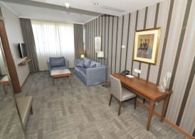 Holiday Inn SKOPJE by IHG 2