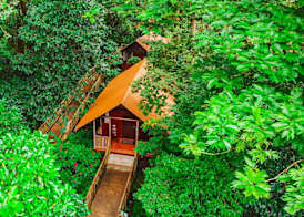 Aninga Lodge 3