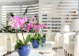 Hotel Caravel 3