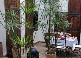 Riad Elixir 2