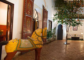 Riad Chergui 2