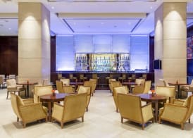 Sheraton Mendoza Hotel 5