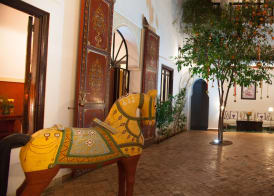 Riad Chergui 2