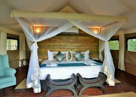 Jackalberry Chobe 5