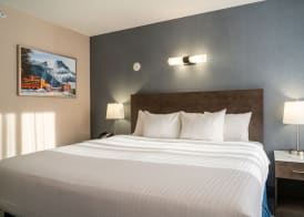 Red Carpet Inn 5