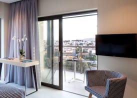 Amira 2