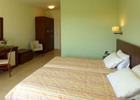 Skiathos Club Hotel Suites 4