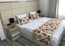 Old Town Hotel 4