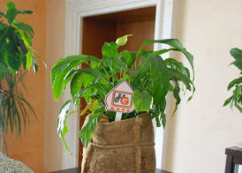 Hotel Gega 2