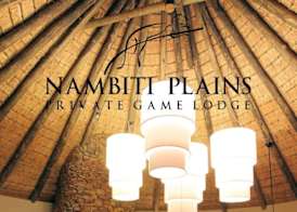 Nambiti Plains Lodge 4