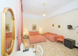 Hotel Delle Palme 4