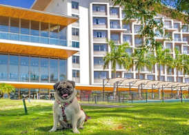 Novotel Itu Terras de São José Golf & Resort 4