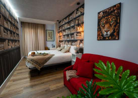 Center Suite Acebedos 4
