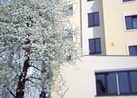 Hotel Coronet 3