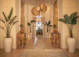 Les Palmiers Boutique Hôtel & Spa 2