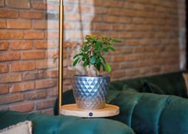 Galavani By Vintage Hotel Collections 5
