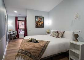 Center Suite Acebedos 2