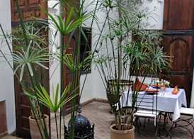Riad Elixir 2