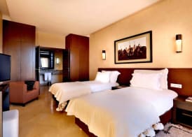 Al Maaden Villa Hotel & Spa 5