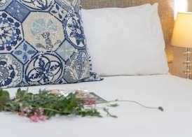 De Akker Guest House Oudtshoorn 4