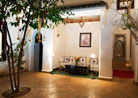 Riad Chergui 3
