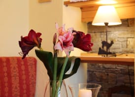 Albergo Edelweiss - LareSpa 2