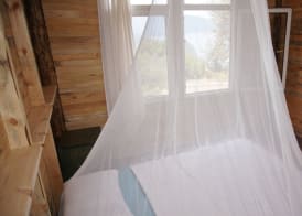 Shiva Camp 3