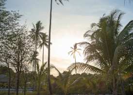 Tamu Koh Rong 3