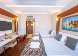 Hotel Viking Star 5