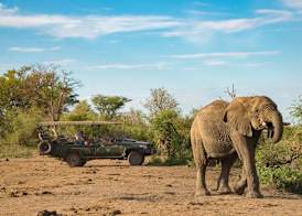 Tau Game Lodge 2