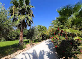Villa Al Assala Palmeraie 3
