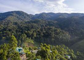 Rushaga Gorilla Lodge 2