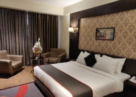 Comfort Hotel Vista 3