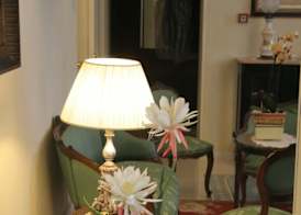 Domus Mariae Benessere 2