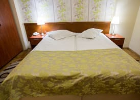 Hotel Rina Cerbul 4