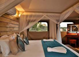 Jackalberry Chobe 3