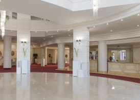 Grand Hotel Biffy 4