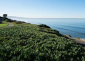 DoubleTree by Hilton San Diego/Del Mar 5