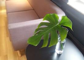 Best Western Hotel Park Astoria 3