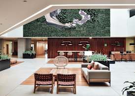 The Pearl Troia 4