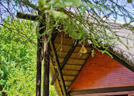 Tau Game Lodge 5
