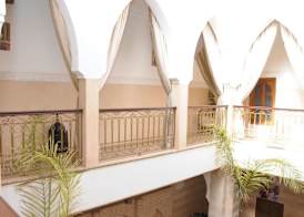 Riad Schanez 2