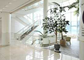Bloom Hotel 3