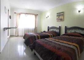Hotel Palmera Real 5